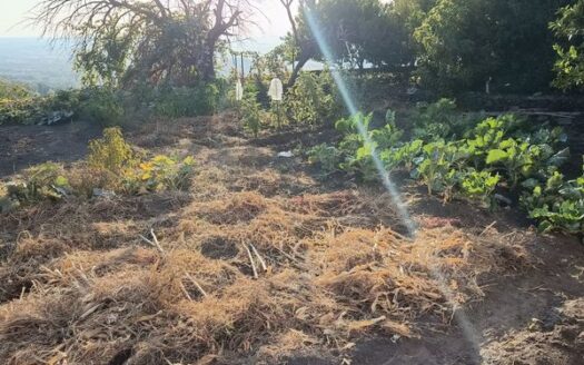 VENTA DE SOLAR URBANO EN SEGURA DE TORO