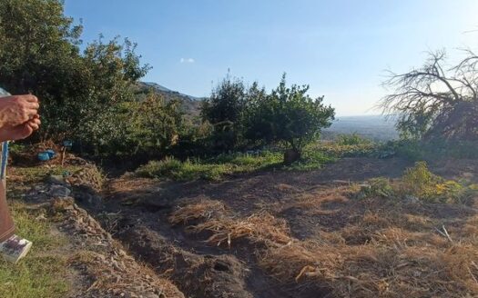 VENTA DE SOLAR URBANO EN SEGURA DE TORO