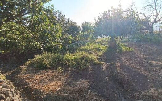VENTA DE SOLAR URBANO EN SEGURA DE TORO
