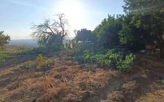 VENTA DE SOLAR URBANO EN SEGURA DE TORO