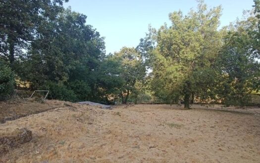 VENTA DE FINCA CON NAVE AGRICOLA