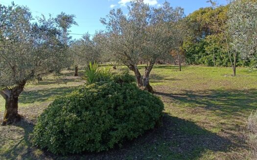 VENTA DE PRECIOSA FINCA CON CASA