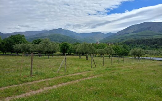 VENTA DE FINCA EN HERVÁS