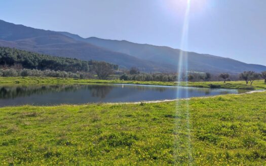 VENTA DE FINCA EN HERVÁS