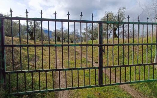 VENTA DE FINCA EN HERVÁS