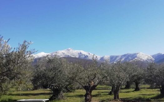 VENTA DE FINCA EN HERVÁS