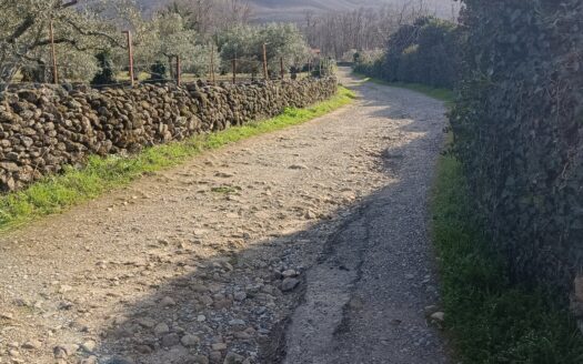 VENTA DE FINCA EN HERVÁS