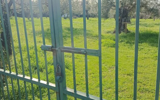 VENTA DE FINCA EN HERVÁS