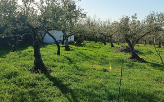 VENTA DE FINCA EN HERVÁS