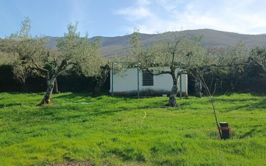 VENTA DE FINCA EN HERVÁS