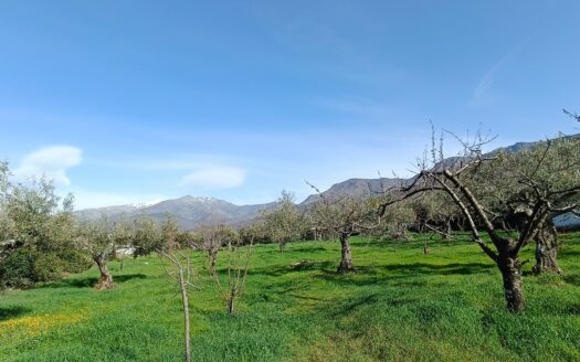 VENTA DE FINCA EN HERVÁS