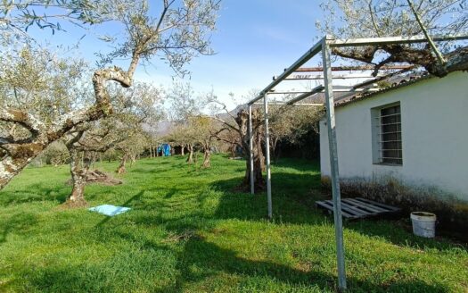 VENTA DE FINCA EN HERVÁS